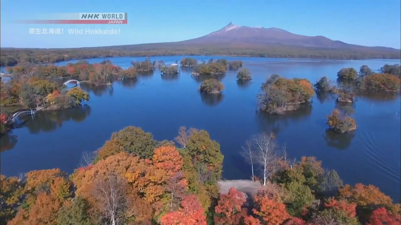 纪录片.NHK.原生北海道.大沼之春